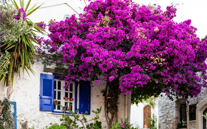 Korfu Porto Timoni Cape Drastis Canal Damour